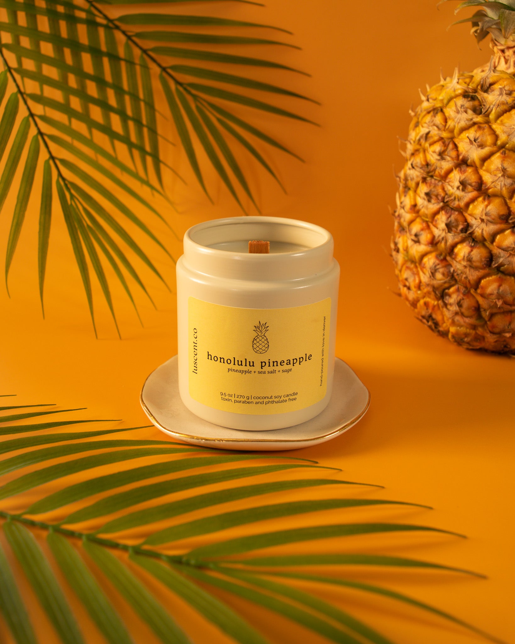 honolulu pineapple | pineapple + sea salt + sage